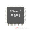 RSP1_TQFP CHIP Image